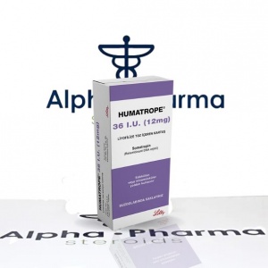 Buy Genotropin- alpha-pharma.biz