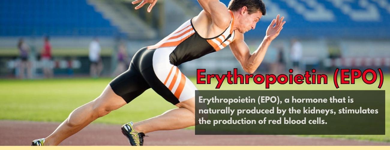 Steroids Component (EPO)
