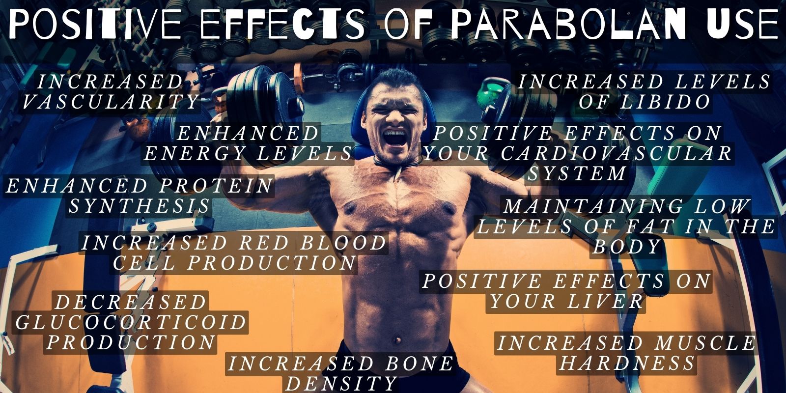 Positive effects of Parabolan use